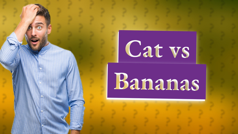 Cat vs Bananas