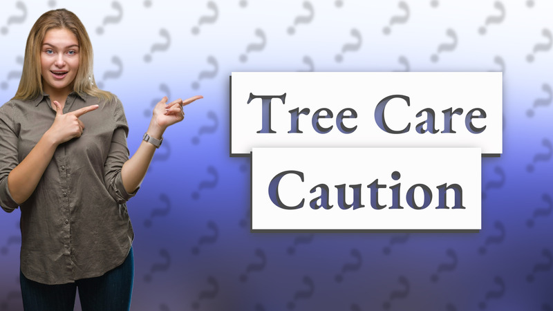 Tree Care Caution