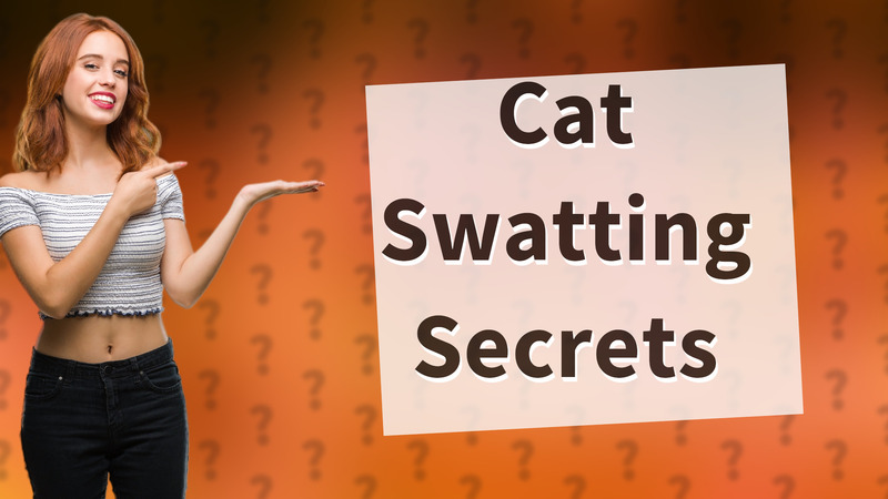Cat Swatting Secrets