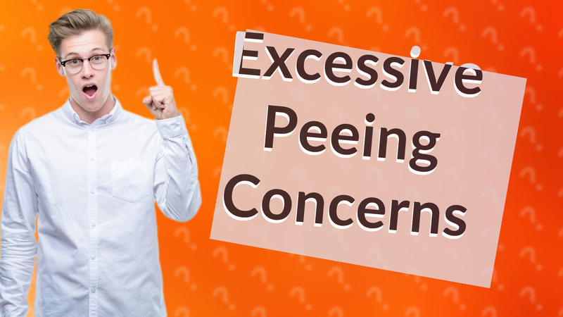 Excessive Peeing Concerns