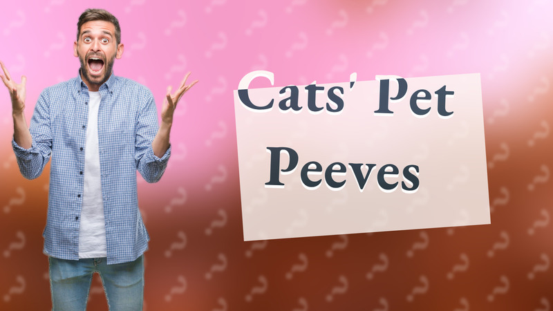 Cats' Pet Peeves
