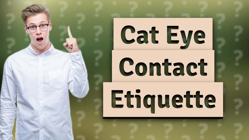 Cat Eye Contact Etiquette