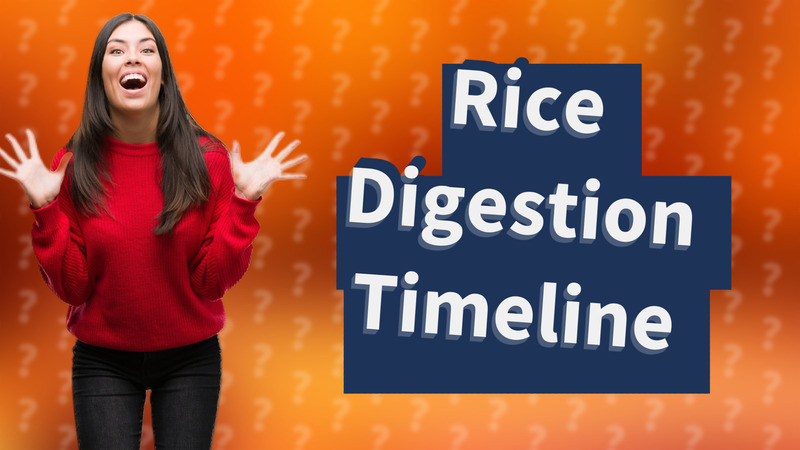Rice Digestion Timeline