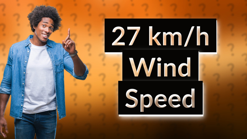 27 km/h Wind Speed