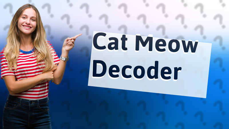 Cat Meow Decoder