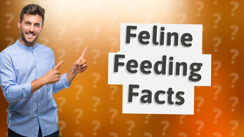 Feline Feeding Facts