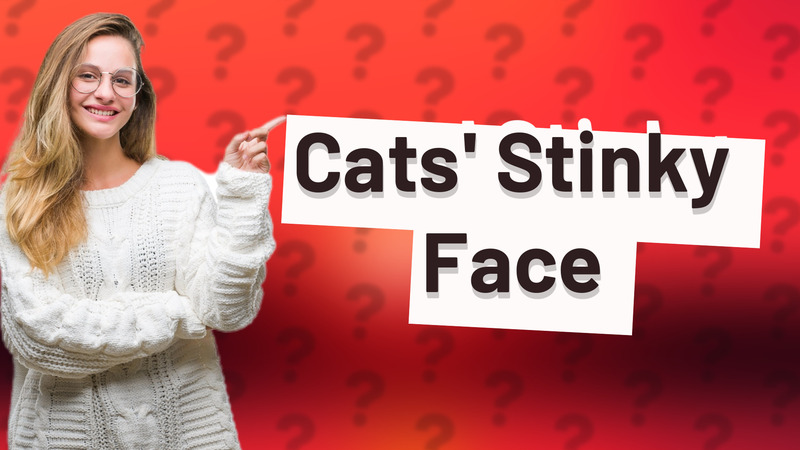 Cats' Stinky Face