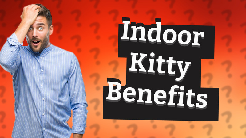 Indoor Kitty Benefits