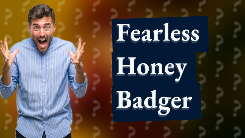 Fearless Honey Badger