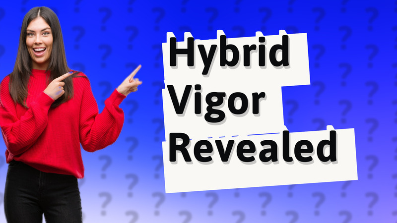 Hybrid Vigor Revealed
