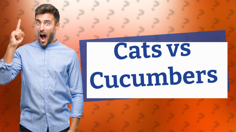 Cats vs Cucumbers
