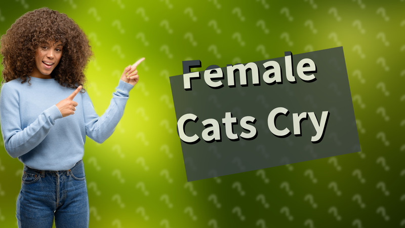 Female Cats Cry