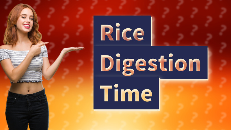Rice Digestion Time