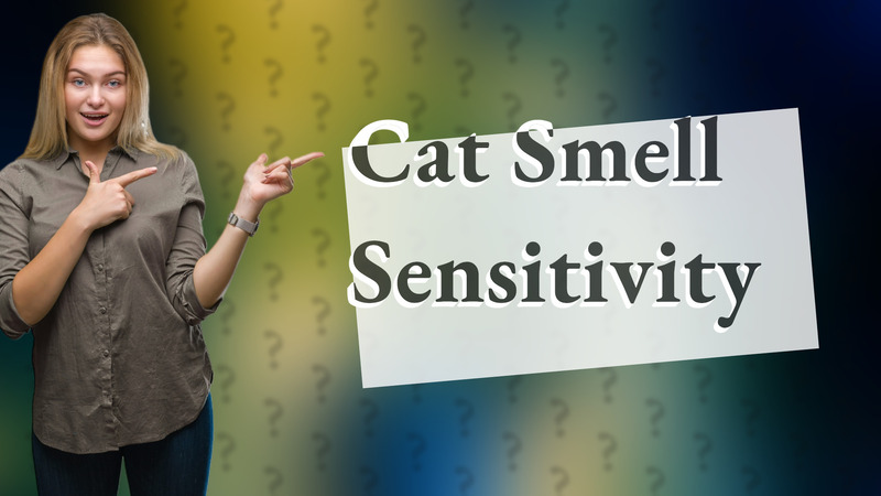 Cat Smell Sensitivity