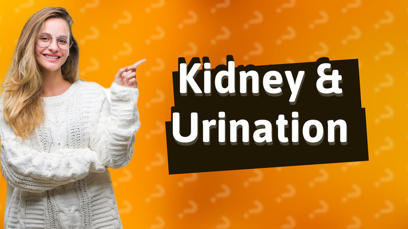 Kidney & Urination