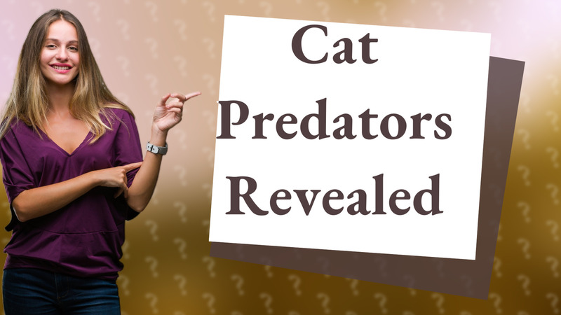 Cat Predators Revealed