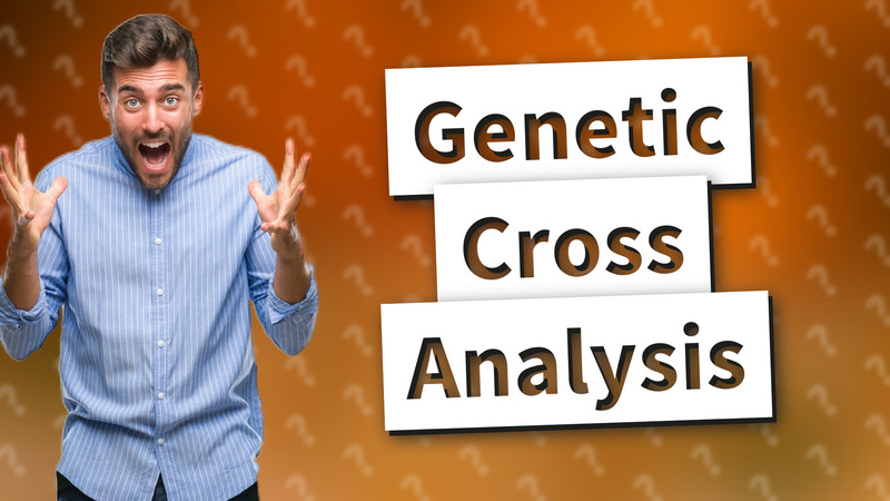 Genetic Cross Analysis
