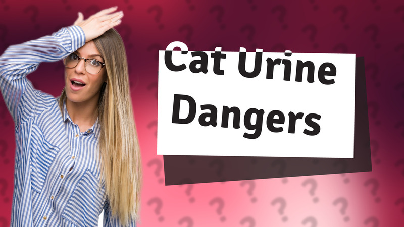 Cat Urine Dangers