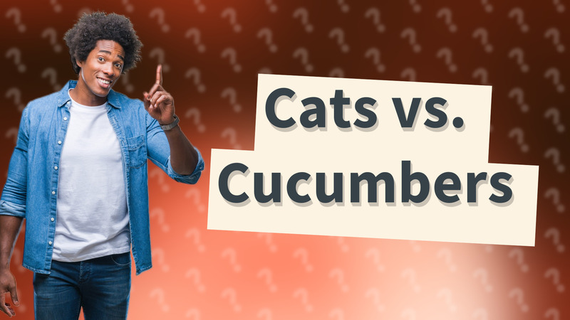 Cats vs. Cucumbers