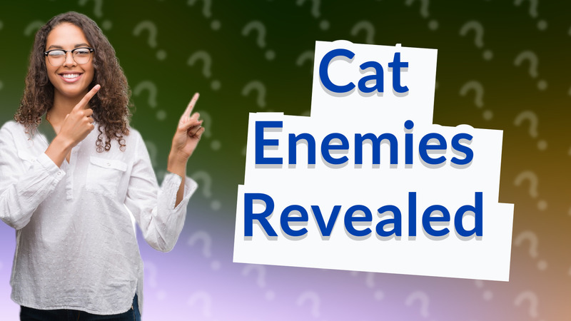 Cat Enemies Revealed