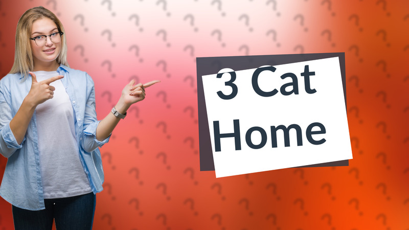 3 Cat Home