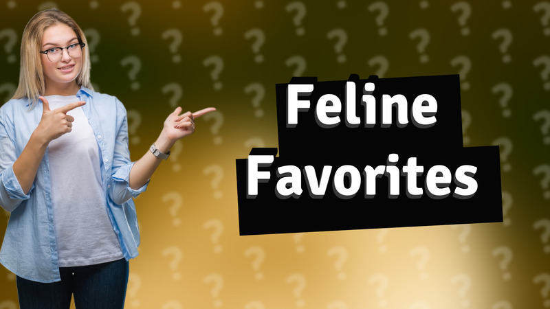 Feline Favorites