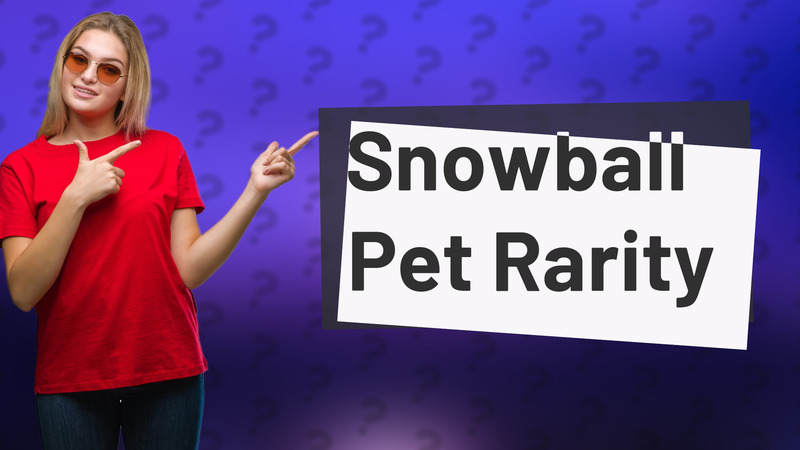 Snowball Pet Rarity