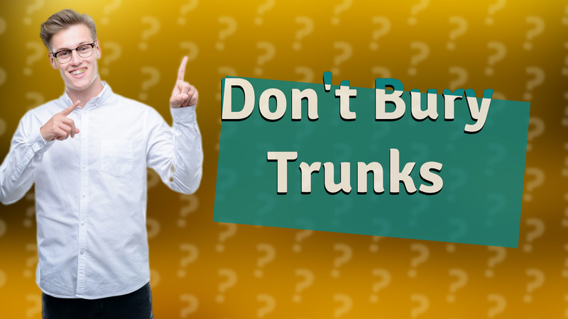 Don't Bury Trunks