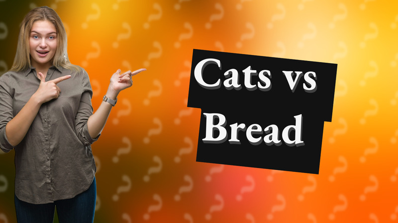 Cats vs Bread