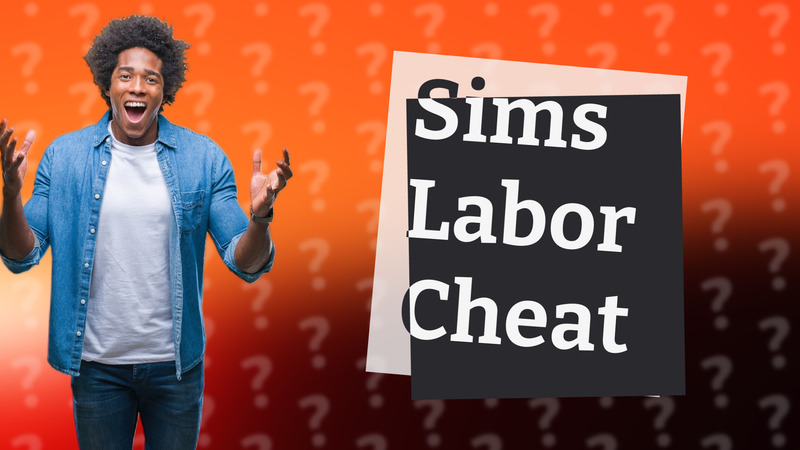Sims Labor Cheat