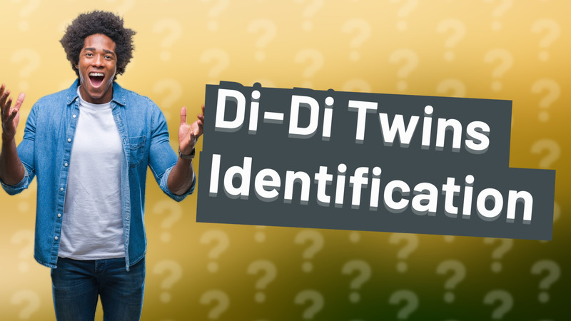 Di-Di Twins Identification