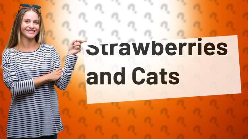 Strawberries and Cats