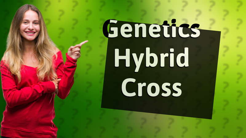 Genetics Hybrid Cross