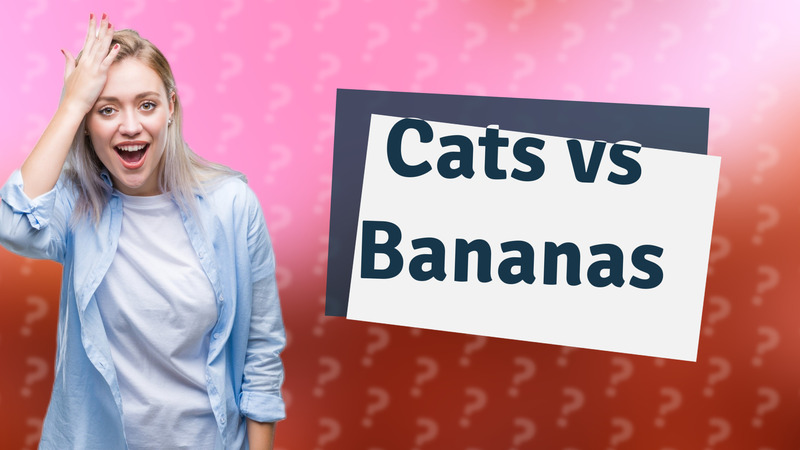 Cats vs Bananas