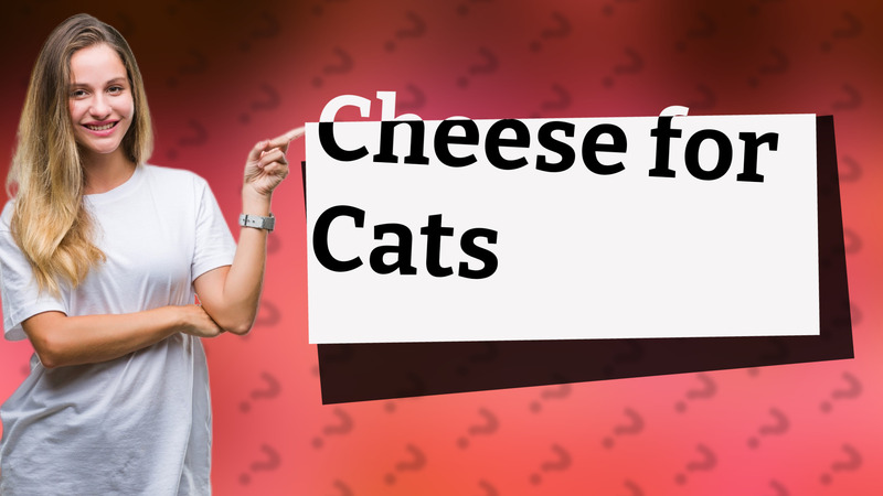 Cheese for Cats