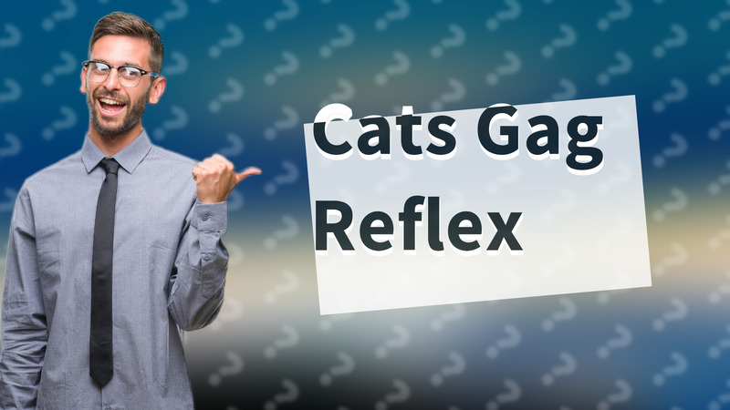 Cats Gag Reflex