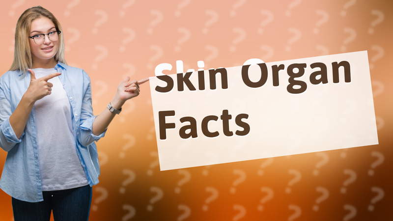 Skin Organ Facts