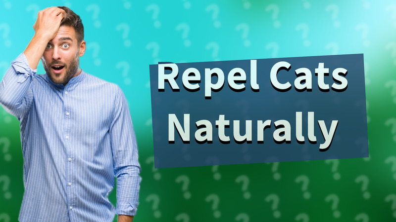 Repel Cats Naturally