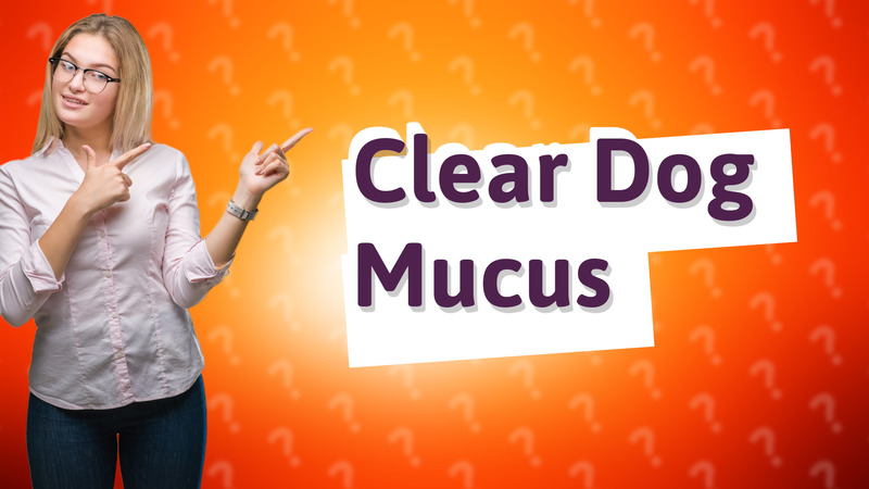 Clear Dog Mucus