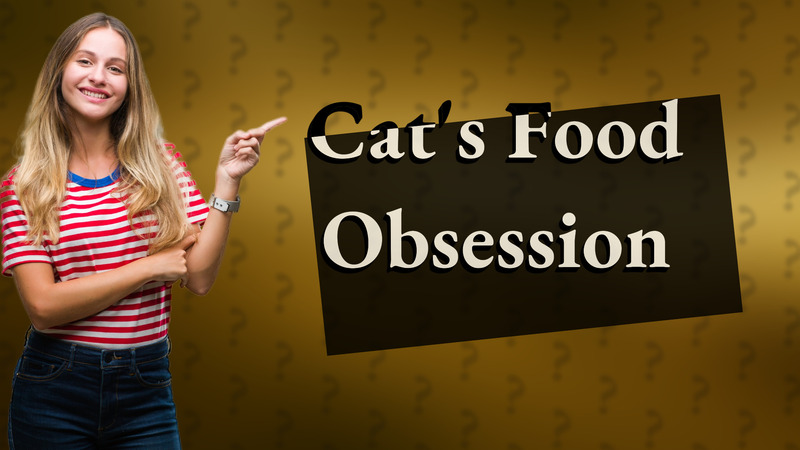 Cat's Food Obsession