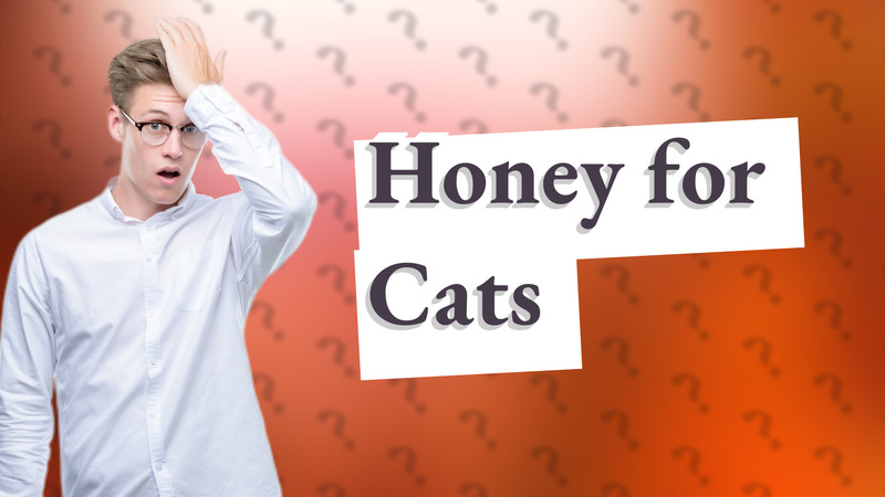 Honey for Cats