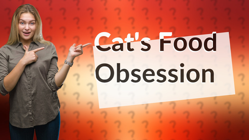 Cat's Food Obsession