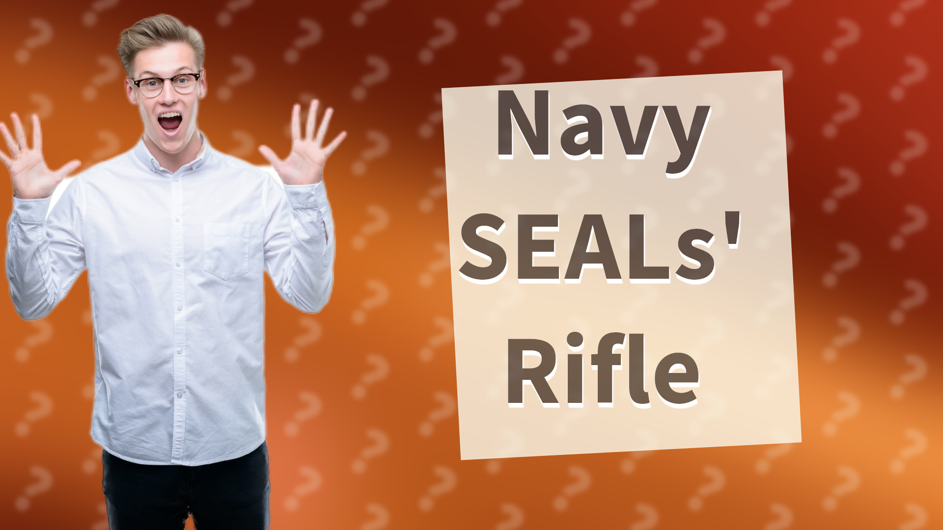Navy SEALs' Rifle