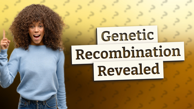 Genetic Recombination Revealed
