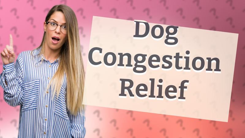 Dog Congestion Relief