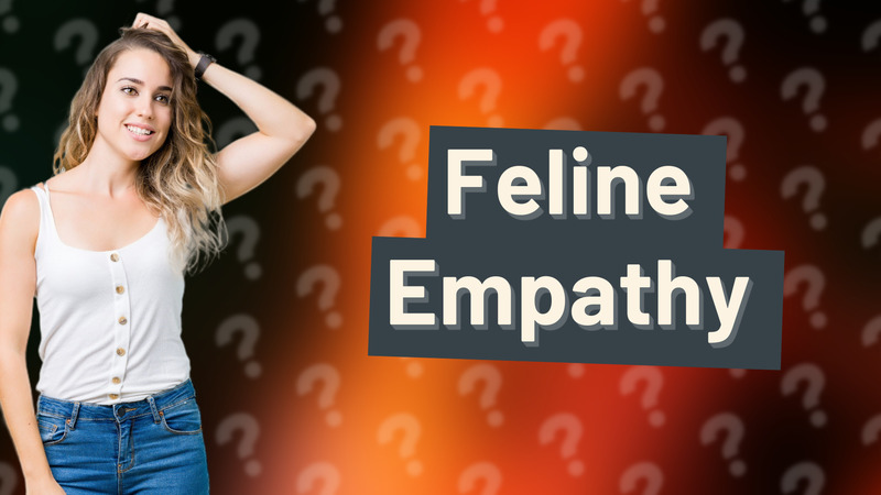 Feline Empathy