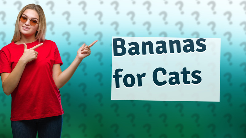 Bananas for Cats