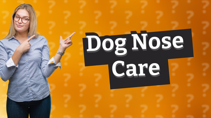 Dog Nose Care