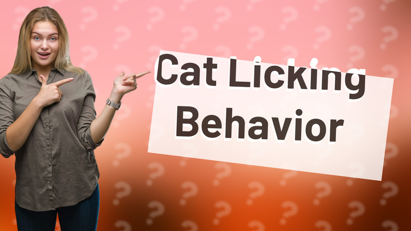 Cat Licking Behavior
