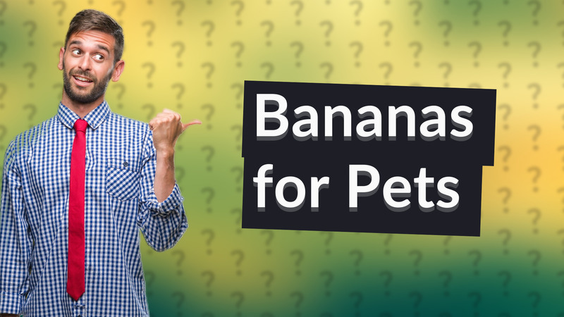 Bananas for Pets